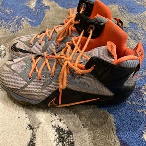 Nike Lebron Xii shoe
